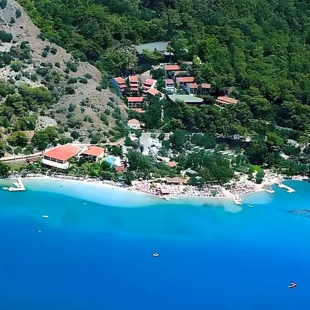 Meri Cedit
